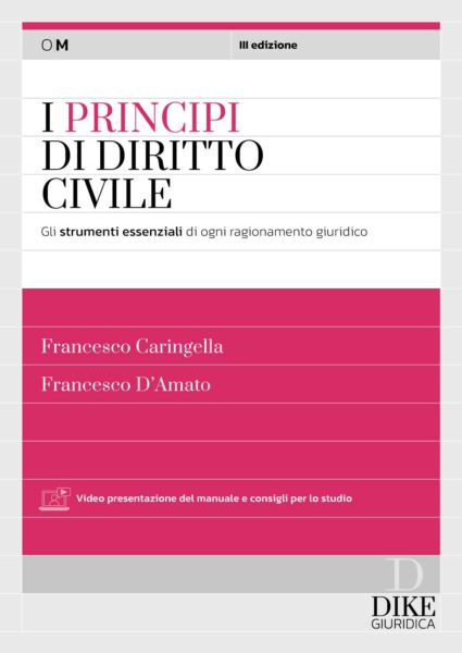 I Principi del Diritto Civile